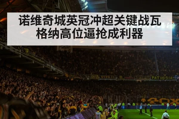 soccer stadium atmosphere