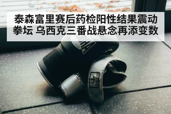 泰森富里赛后药检阳性结果震动拳坛 乌西克三番战悬念再添变数