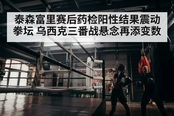 boxer training