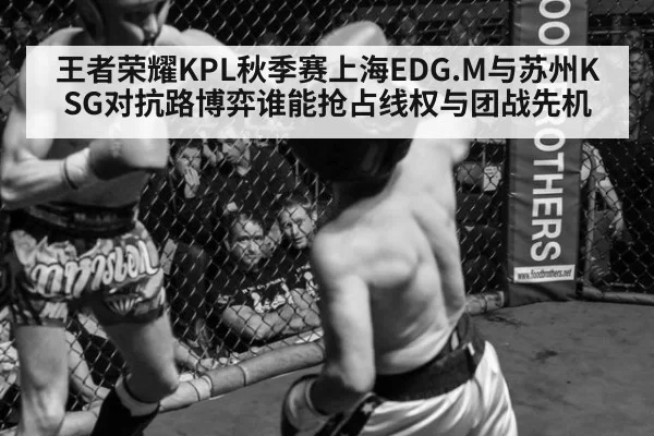 王者荣耀KPL秋季赛上海EDG.M与苏州KSG对抗路博弈谁能抢占线权与团战先机